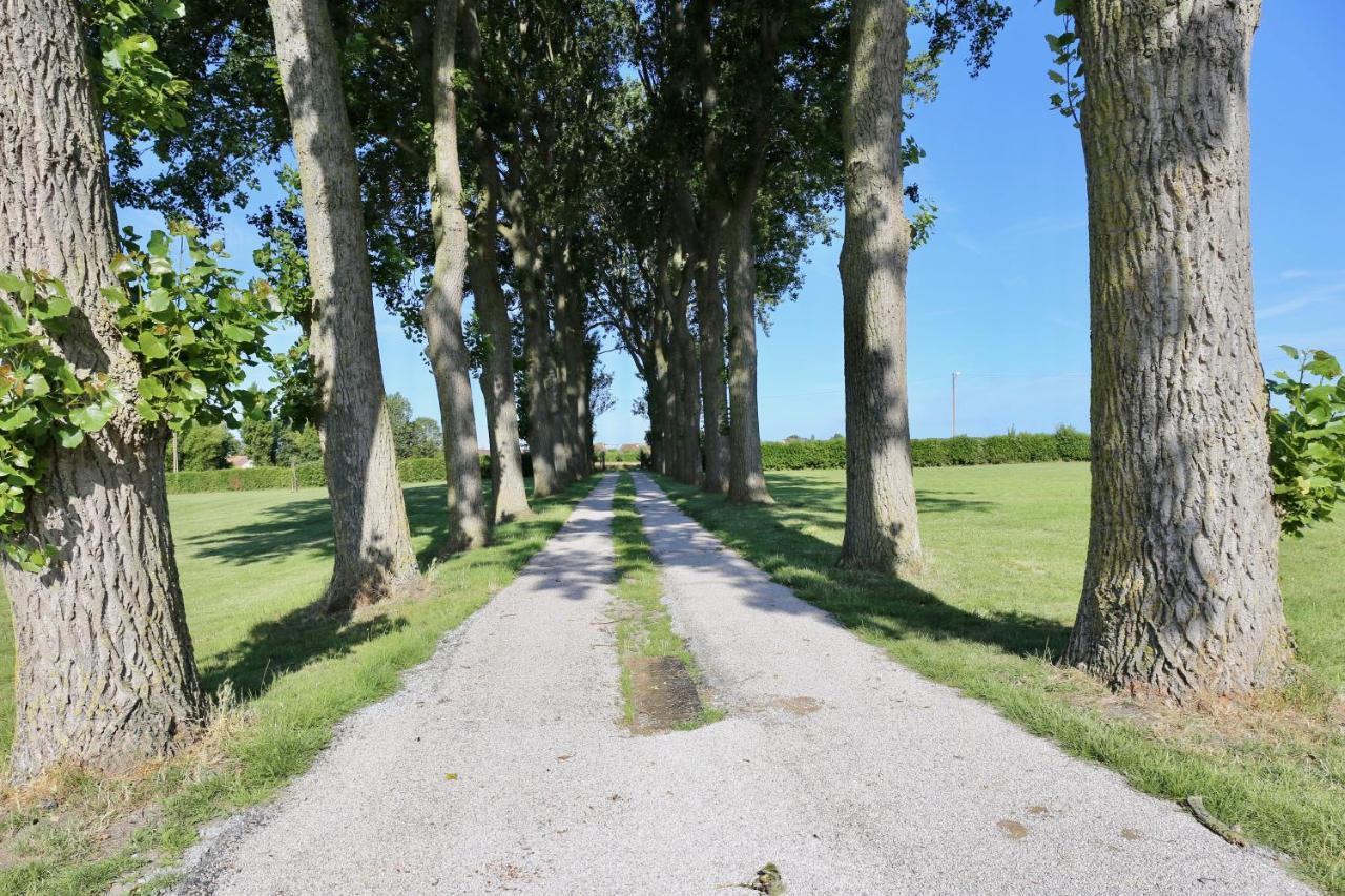 Penzion La Grange Du Veld Téteghem Exteriér fotografie